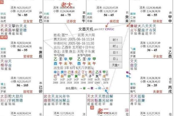 十二生肖紫薇斗数 十二生肖紫薇斗数