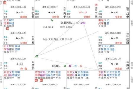 东有小山紫薇斗数7