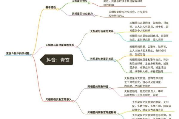 紫薇斗数紫薇天相