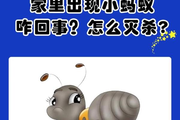 家里有蚂蚁风水上预示什么