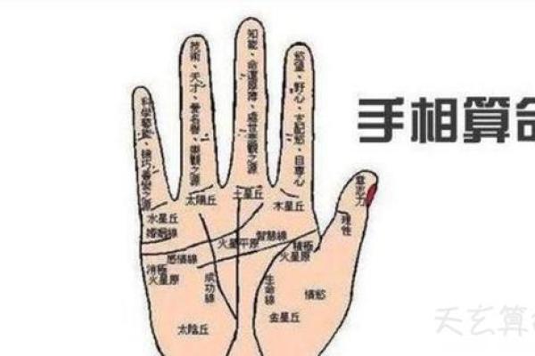 手相算命总论 手相算命大揭秘