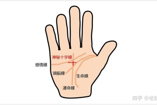 手相算命总论 手相算命大揭秘