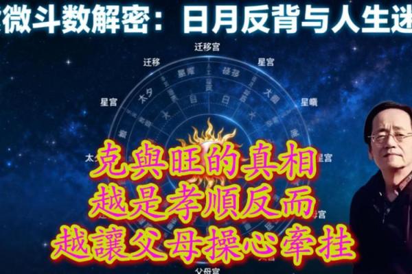 紫薇斗数流年年父