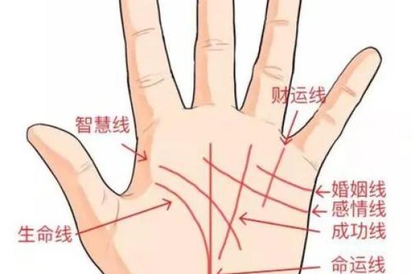 男人左手手纹算命图解婚姻线 感情线预示感情状况 男人左手手纹算命图解婚姻线 感情线预示感情状况