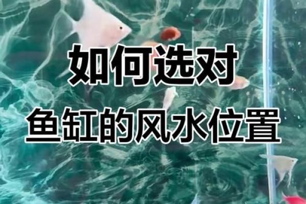 在鱼缸里盖房子好不好风水 在鱼缸里盖房子好不好风水