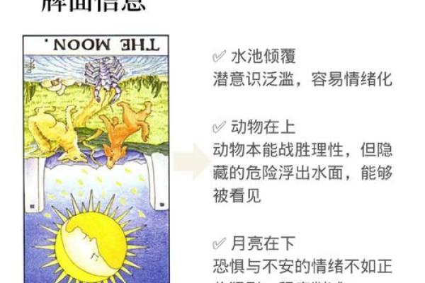 【塔罗测试】水逆过后，你的运势会有所提升吗？
