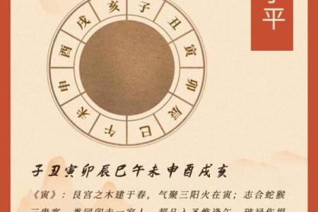 八字寅是什么意思,寅在八字中代表什么