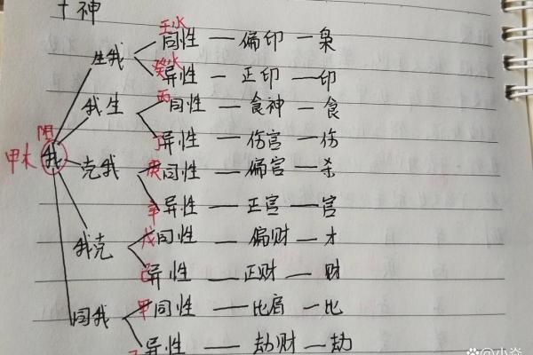 八字与十神 八字与十神