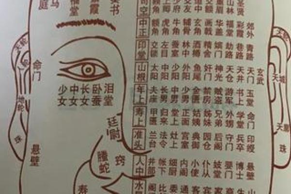 男测脸面相算命图解大全 男测脸面相算命图解大全