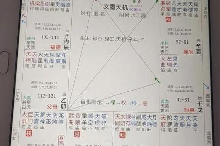 注定紫薇斗数吧