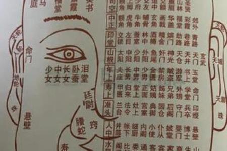 男测脸面相算命图解大全