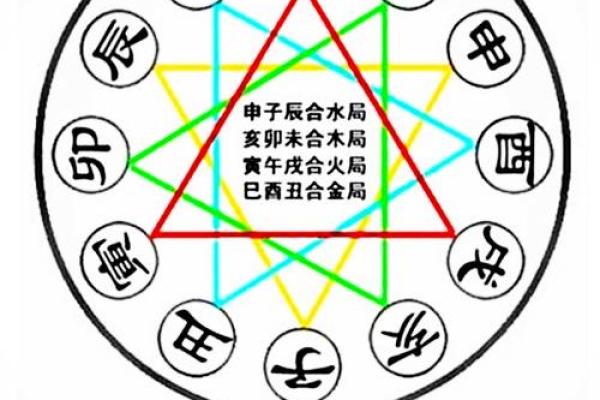 八字地支为亥的女命