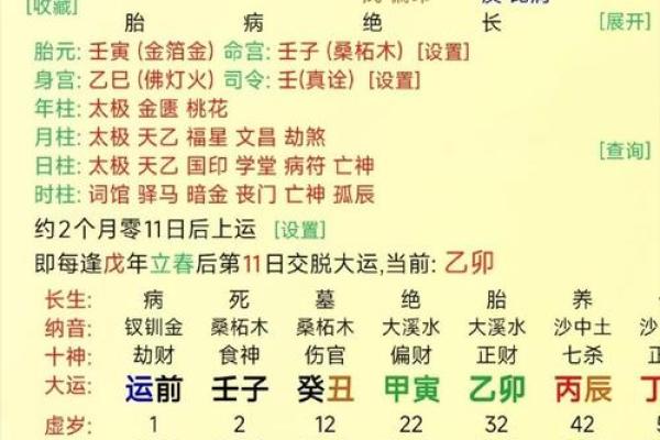 算命说有两个替子