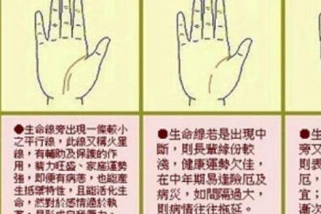 胎记算命图解好坏