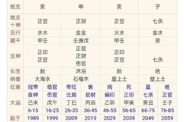 八字丁亥丙午大运