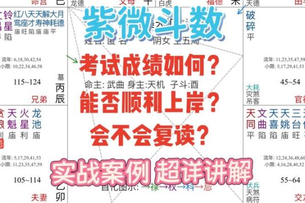 紫薇斗数考试运 紫薇斗数考试运