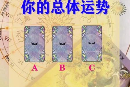 塔罗牌测试，一月事业运如何，你能升职加薪嘛？