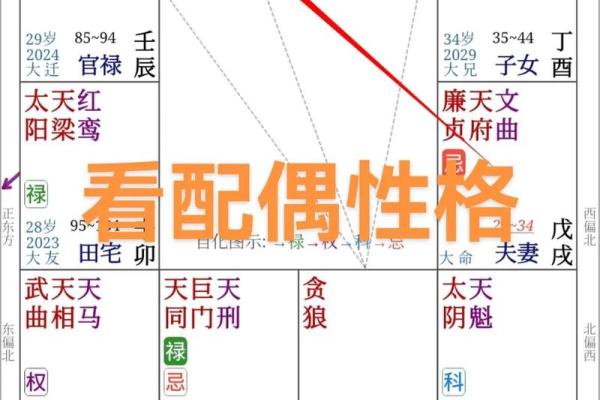 八字星盘 八字星盘