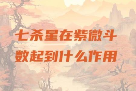 紫薇斗数七杀怕陀螺么