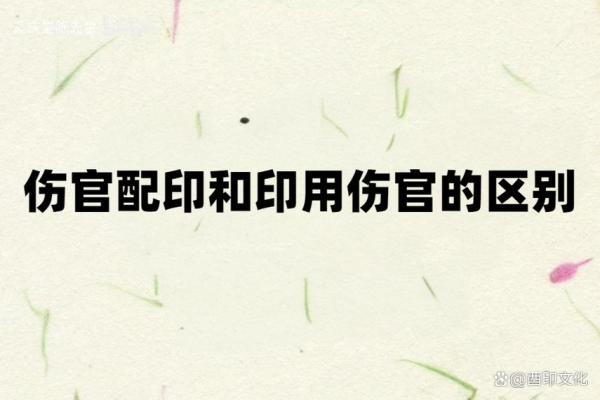 八字有印 八字有印