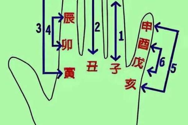 紫薇斗数掌决 紫薇斗数掌决
