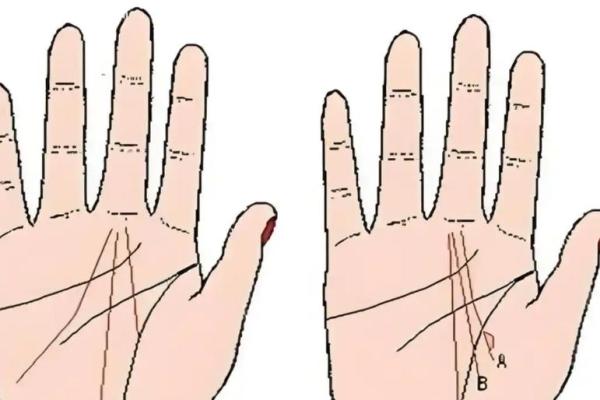 紫薇斗数掌决 紫薇斗数掌决