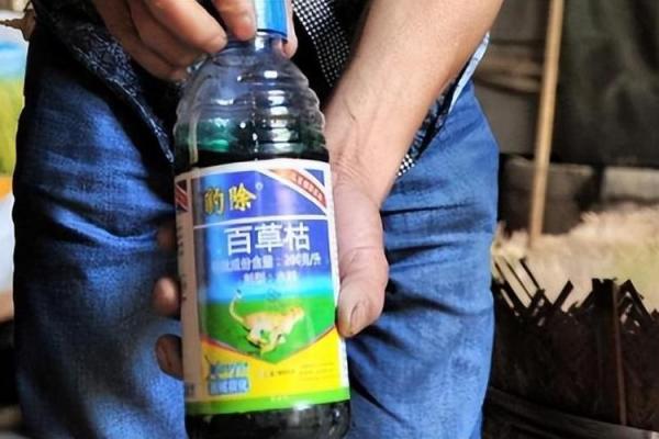 八字真硬，浙江一男子一时冲动喝下百草枯，硬扛一个月顺利出院！