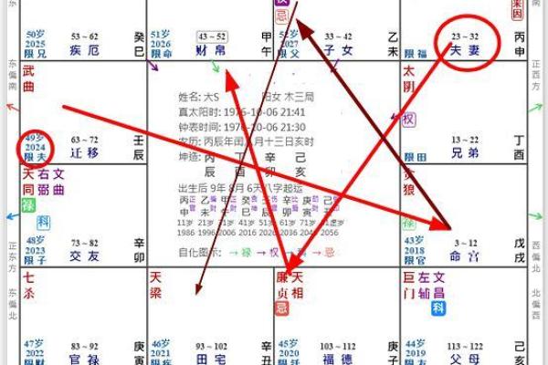 紫薇斗数阳历盘