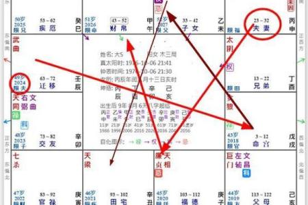 紫薇斗数阳历盘