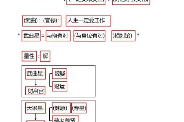紫薇圣人紫薇斗数的简单介绍