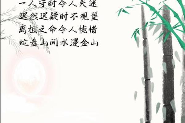 前有明堂，后有靠山！这样的风水宝地千金不换！