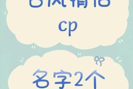 情侣姓名配对测试教程视频 情侣姓名配对测试软件？