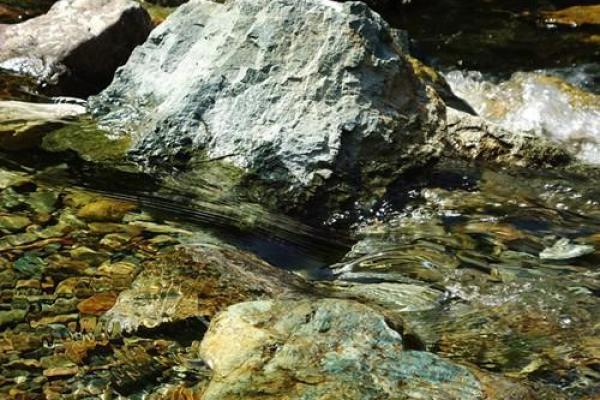 梦见妈给我算命什么意思