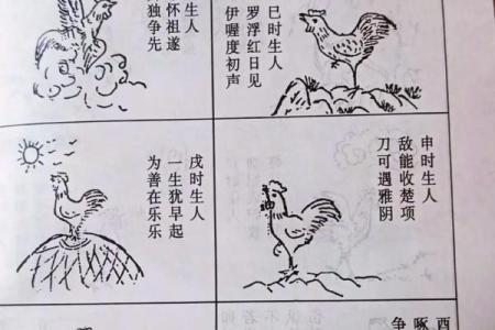 八字生肖如何算？看这里就够了！