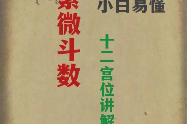 紫薇斗数诀窍深谈