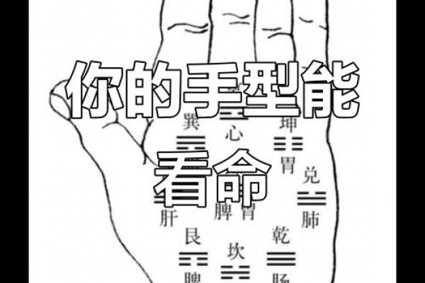 看手纹测命运图解 手相学图解算命大全
