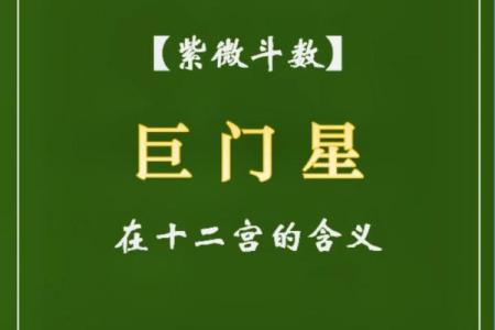手机紫薇斗数app