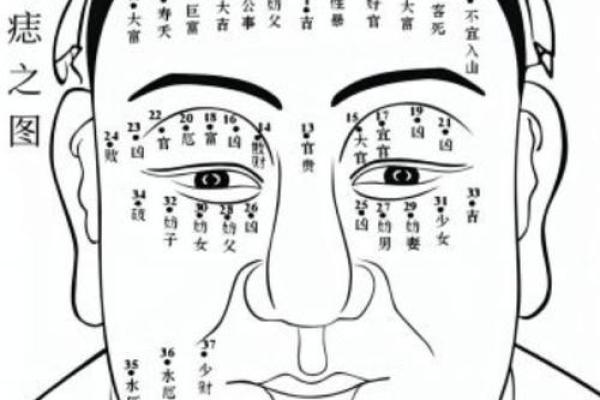 眼相算命图解大全