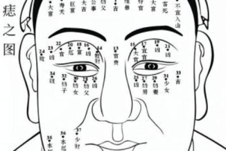 眼相算命图解大全