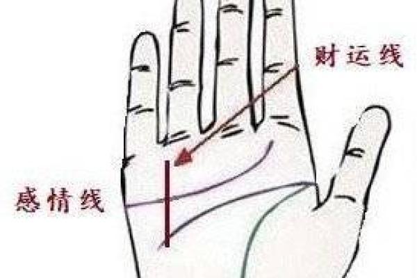 上海算命很准的地方,松江区哪里算命最准