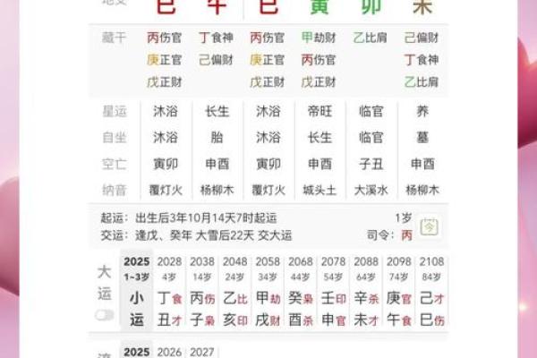 八字算命排盘软件咋开发