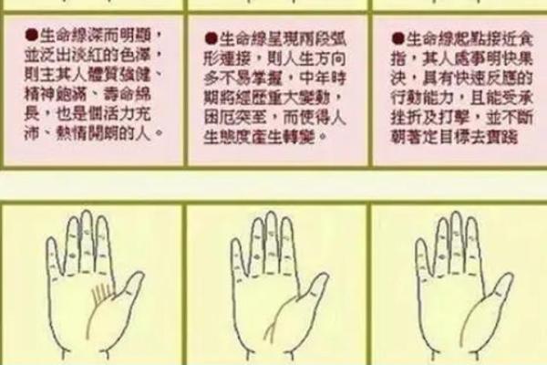 看手相算命图解：指纹