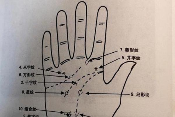 看手相算命图解：指纹