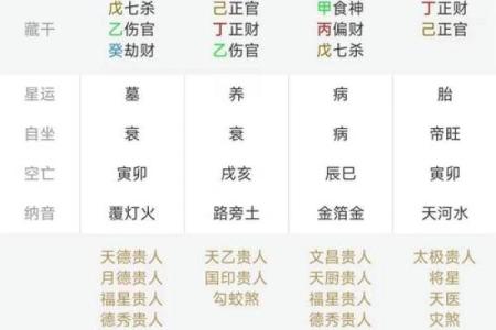 八字算命排盘软件咋开发