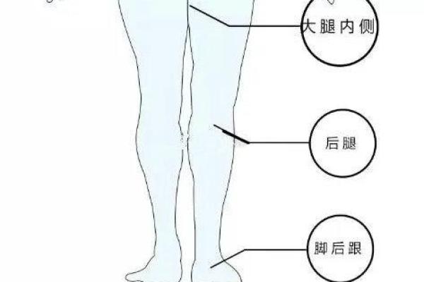 腿上不同位置的胎记算命