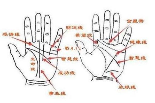 详细分析：手掌中的指纹预测算命，快来算算你的运势如何！