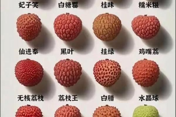 风水上坟不能拿的四种水果寓意不吉利