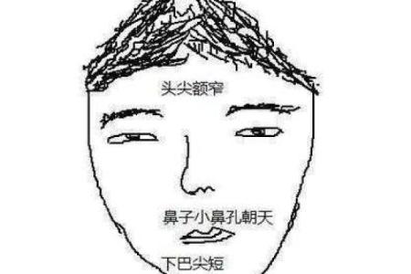 头发算命,头发向前倒的人的面相分析