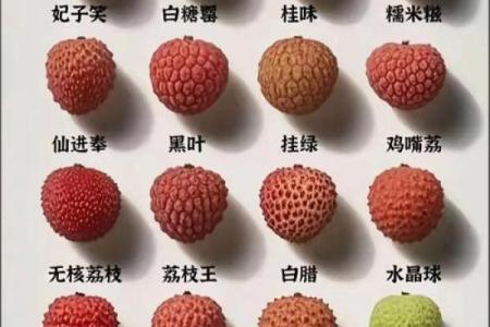 风水上坟不能拿的四种水果寓意不吉利