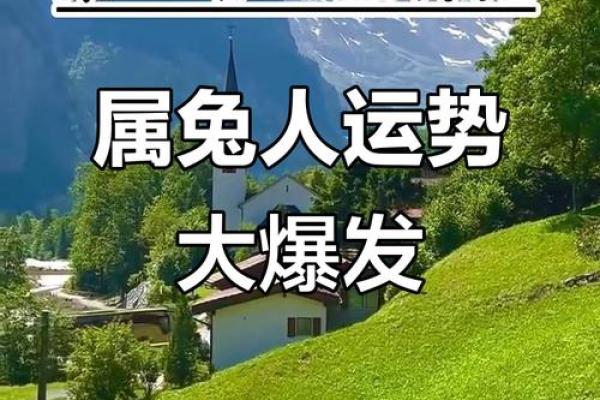八字算命_属兔的人如何改运？